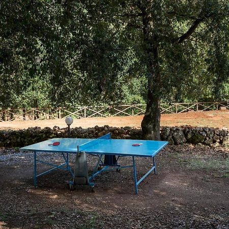 Borgo Gallinaio 32, Emma Villas シエーナ エクステリア 写真